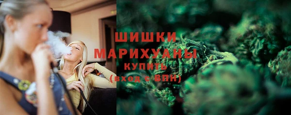 трава Аркадак